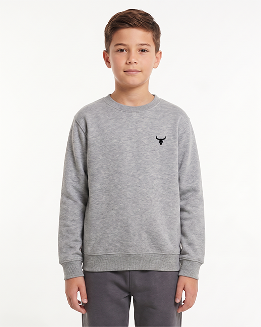 Kids Premium Crewneck Sweatshirt – Grey Melange