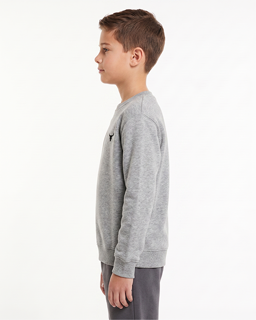 Kids Premium Crewneck Sweatshirt – Grey Melange